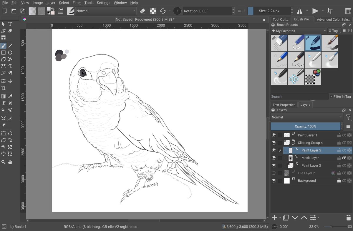 BarkinWithBirch's tweet photo. Started doodling this adorable cutie this morning with coffee 💚 (@FinchDoodles thank you for letting me use Niles as a muse 🥹) https://t.co/bkmve1g3XU