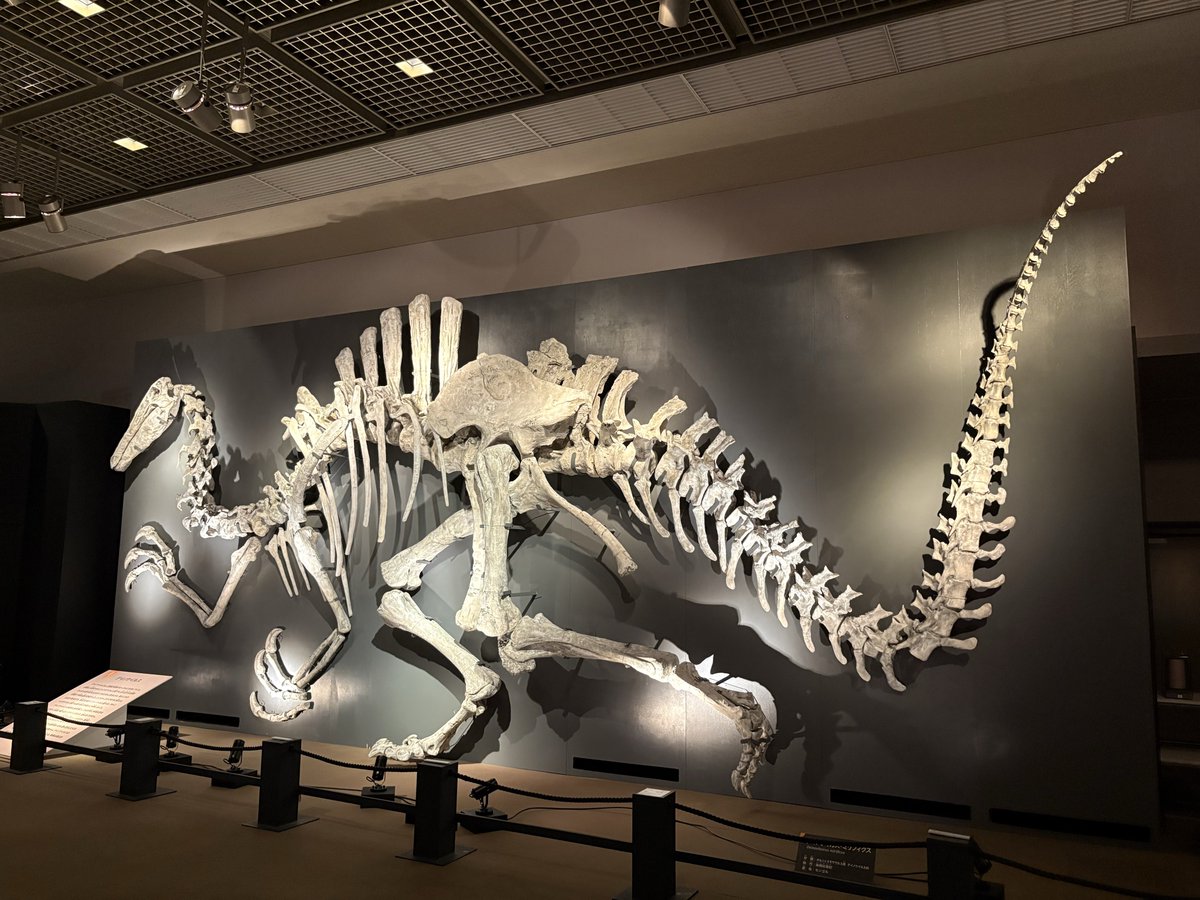 gitssactlm11's tweet photo. 恐竜はいいぞ🦕🦖✨
親子連れも多くて、子供が図鑑片手に親に一緒懸命説明してるのみてほっこり

#大恐竜展
#福岡市博物館 https://t.co/XICR2MXp4V