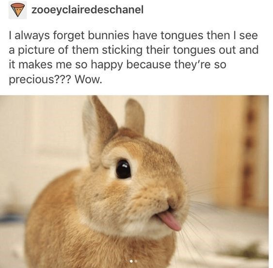 WholesomeMemes tweet media