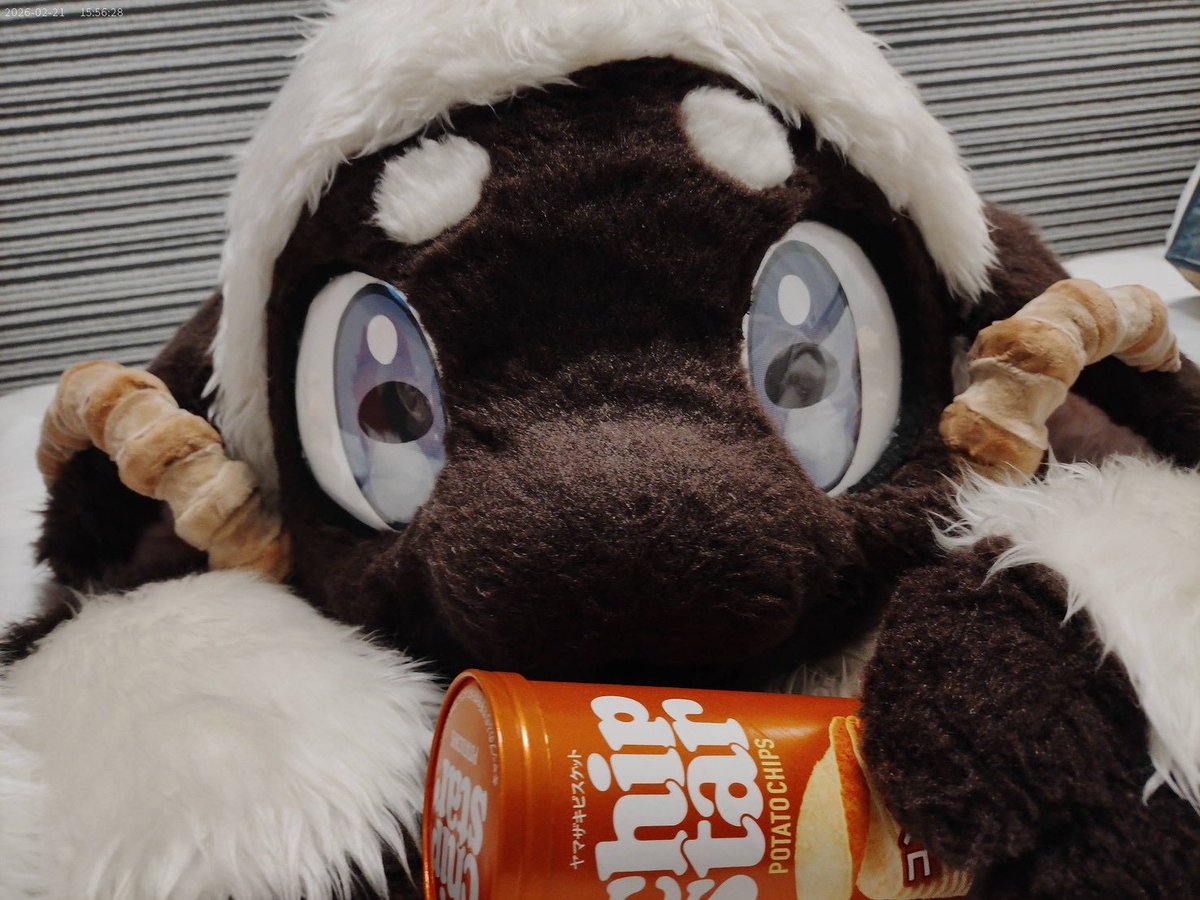 mumfmf's tweet photo. もぐもぐっ！🍟

(📷✨:@kemo_uyurt ) https://t.co/0rm1ROMvCv