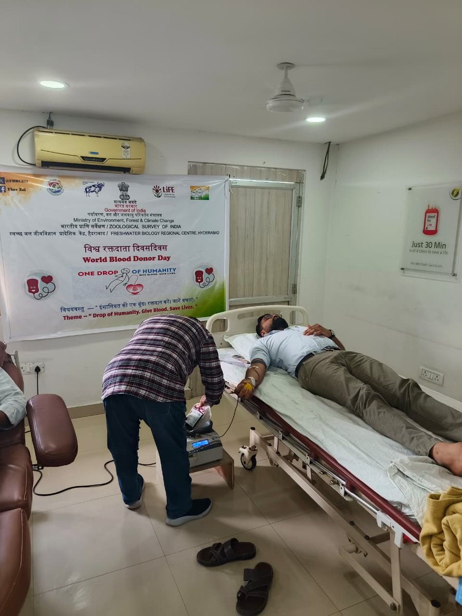 FBRCZSI's tweet photo. On World Blood Donor Day (14 June 2026), officials &amp; staff of FBRC, ZSI Hyderabad, voluntarily donated blood to support the noble cause of blood donation and saving lives. The drive was conducted under the supervision of Dr. Revanth, Olive Hospital, Hyderabad. https://t.co/62uYWk0oey