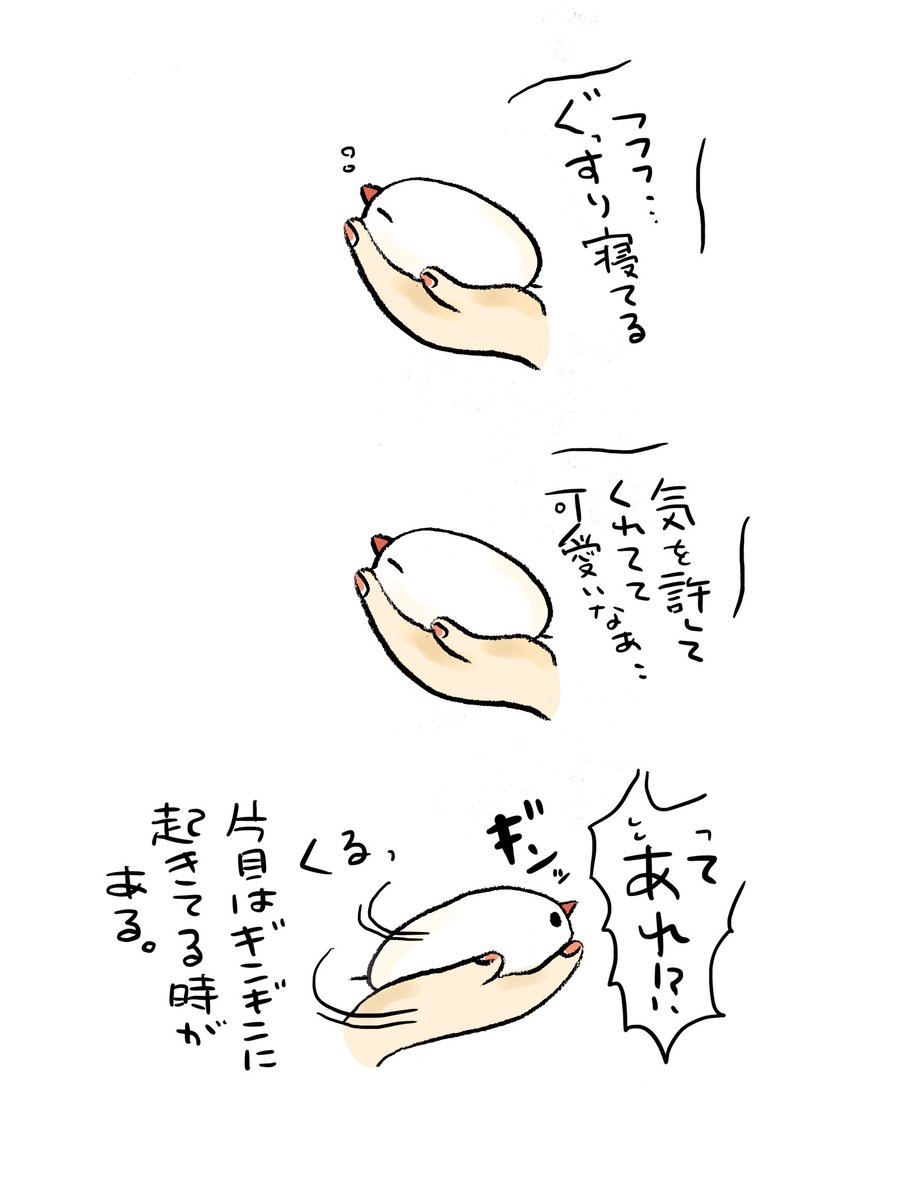 片目がギンギン 