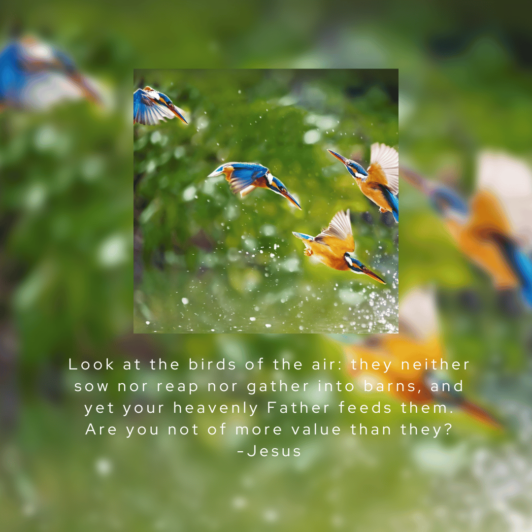 TheUpDevo tweet picture