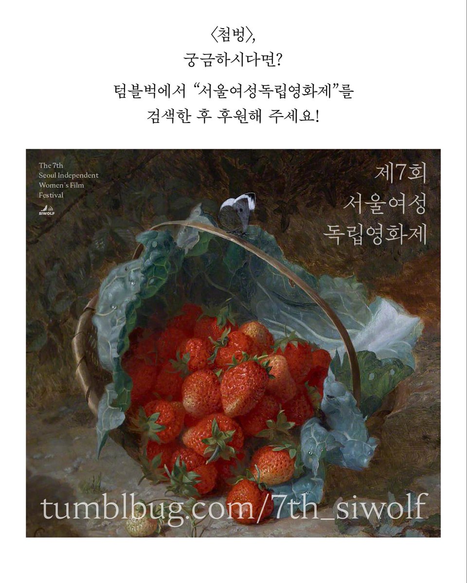 서울여성독립영화제 tweet media