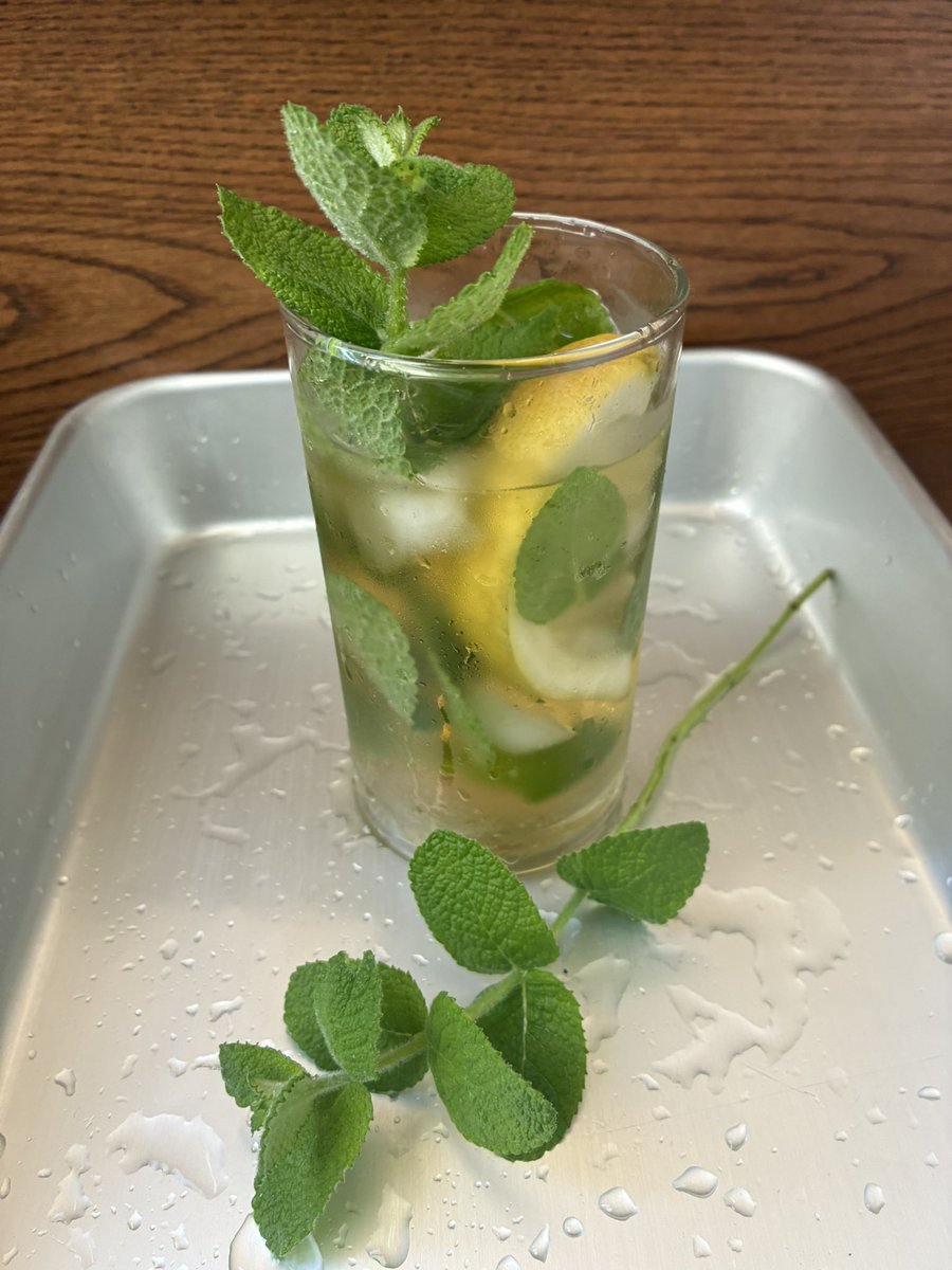 como_ng's tweet photo. かんたん家飲みモヒート🍹
（ミント多すぎ https://t.co/vqrZvfXrla