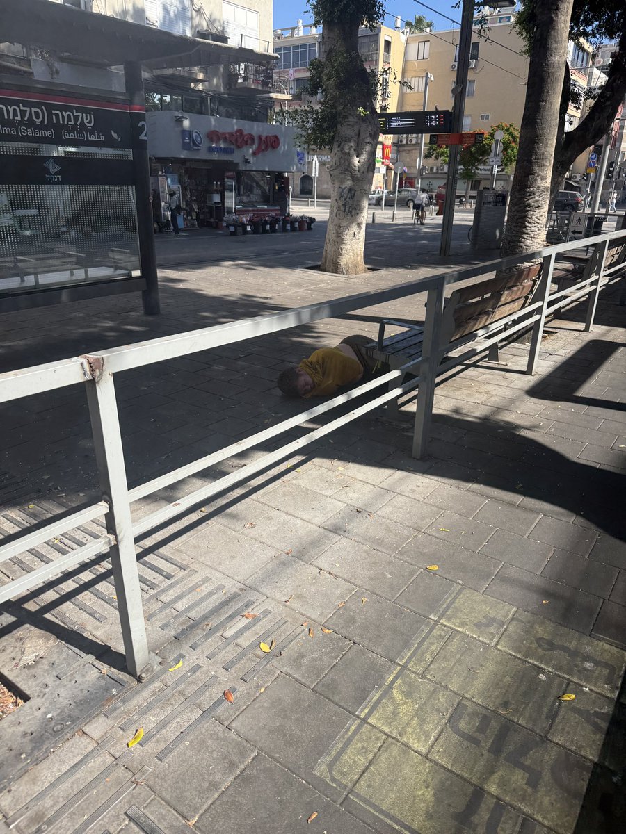 רון יאמין 🤍 Ron Yamin tweet media