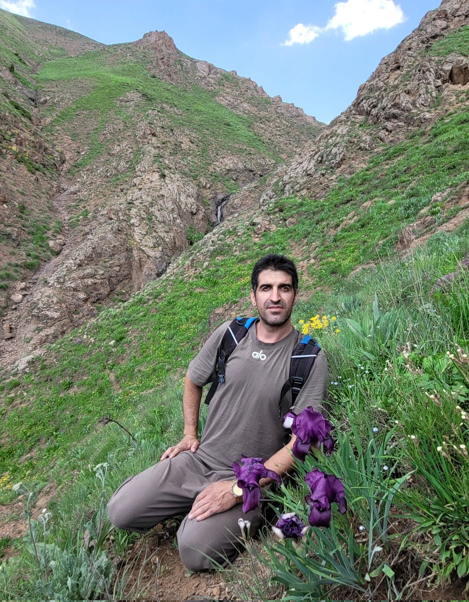 SajadAlipour98's tweet photo. Iris demawendica
Named after Mount Damavand 
North of Iran
June 2026, 2100m
Mount Damavand is Iran's highest peak, an inactive stratovolcano in standing about 5,610 meters tall. It's the highest mountain in the Middle East and the highest volcano in Asia. 
#iris #iridaceae https://t.co/UEayXLzkuE