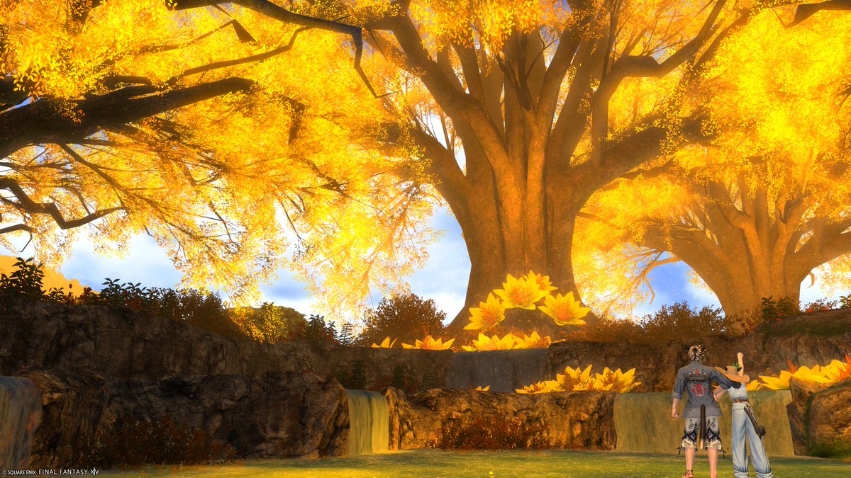 Qbell_ff14's tweet photo. #FF14 https://t.co/5UBY3iR22A