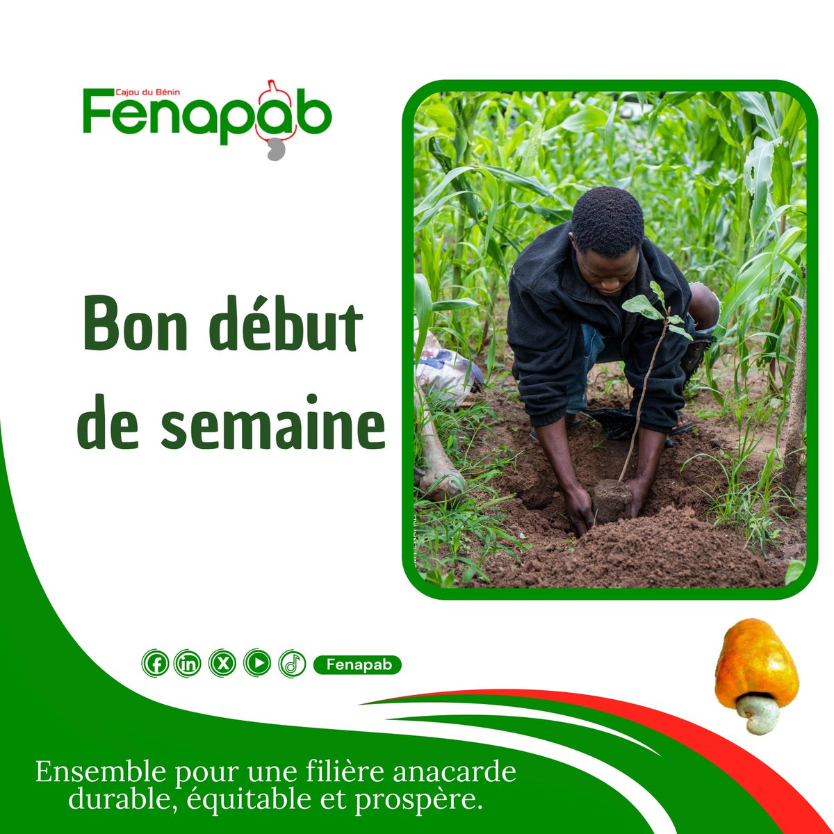 Fenapab2022's tweet photo. Bon début de semaine à toutes et à tous https://t.co/cFEYzEtcoZ