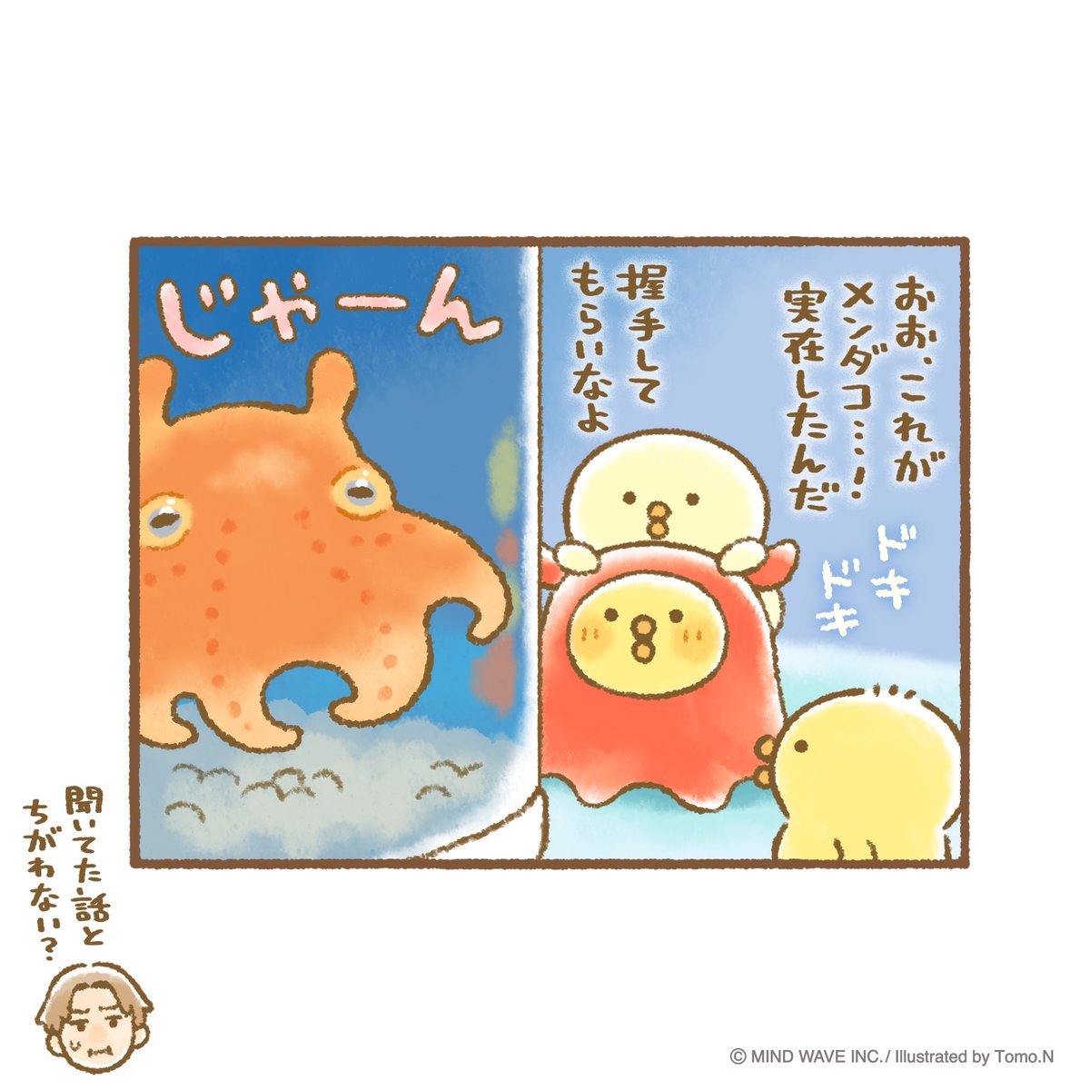 piyokomame_mw's tweet photo. 深海コーナー。ご本人登場🐙

#ぴよこ豆 #マインドウェイブ #ひよこ https://t.co/iU4o3nvenG