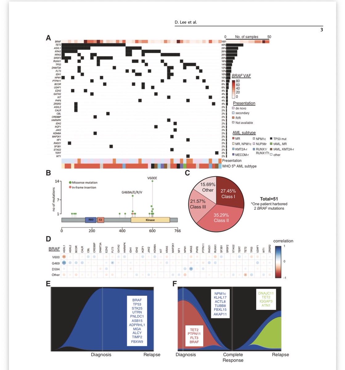 sanamloghavi's tweet photo. 🔴~1% of AML cases harbor BRAF mutations (canonical &amp; non-canonical); mostly outside V600 hotspot &amp; enriched in myelodysplasia-related AML (AML-MR) https://t.co/XV4BdyF1kr