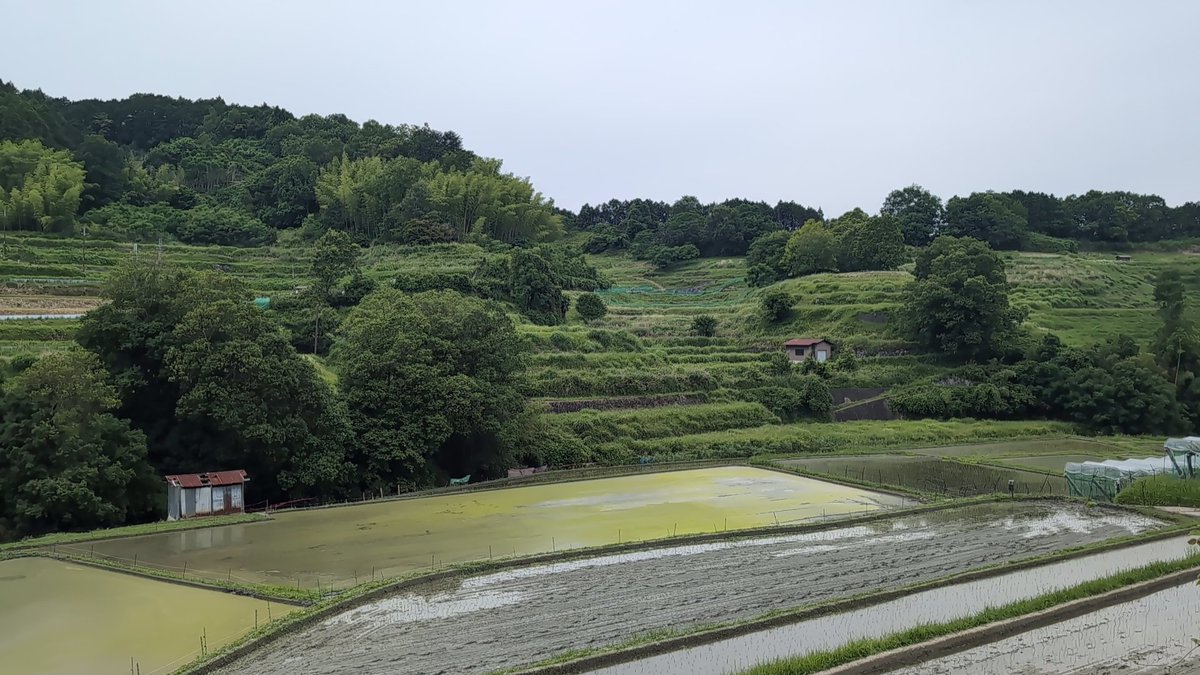 shiroyagi53's tweet photo. 先週末は大好きなグループのコンサートに合わせて、お一人様奈良旅行。1日目郡山城へ。天守台からの景色、最高！　2日目明日香村へ。高松塚古墳から棚田が広がる日本の里山、石舞台へ散策。#チキンガーリックステーキ　#大和郡山　#明日香村 https://t.co/vl65LH75ow