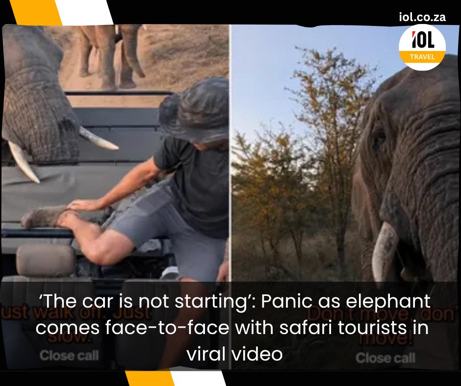 IOLTravel's tweet photo. A dream safari quickly became a nightmare for a group of tourists when an elephant came right up to their open vehicle, poking passengers with its trunk and leaving one man clutching its tusk.
Read on https://t.co/uz0pRwn5zc
#Safari #viralVideo #KrugerNationalPark https://t.co/VE8UNoFd0N