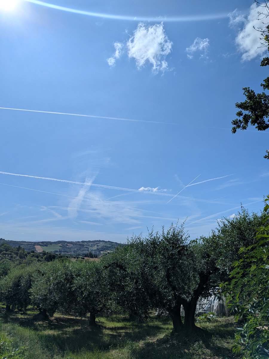 astrosteven_'s tweet photo. Perchè le scie degli aerei sono diverse?

Le scie di condensa (e non chimiche) variano di spessore per il tipo di aereo e dei suoi motori, ma soprattutto dalle condizioni atmosferiche in quota. Quando l'aria è molto umida e fredda, la scia si forma facilmente, persiste più a lungo e si allarga rapidamente perché i cristalli di ghiaccio attirano altro vapore, mentre in aria più secca rimangono sottili e brevi.