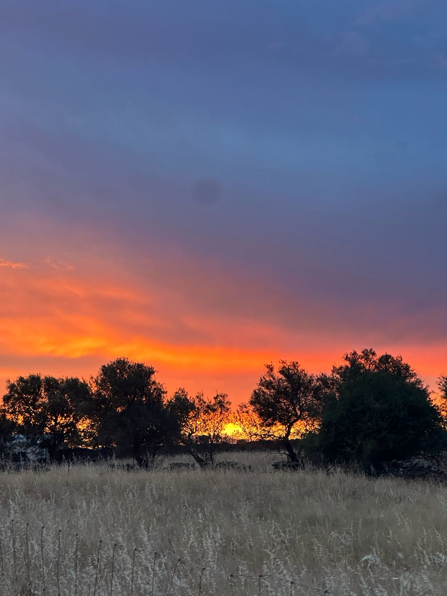 jurdanobrif's tweet photo. "Los atardeceres son la prueba de que los finales también pueden ser hermosos."
#valledelalagon #pozuelodezarzon #Atardeceres #atardeceresmagicos #caceres
#extremadura https://t.co/kUrv6jT26Z