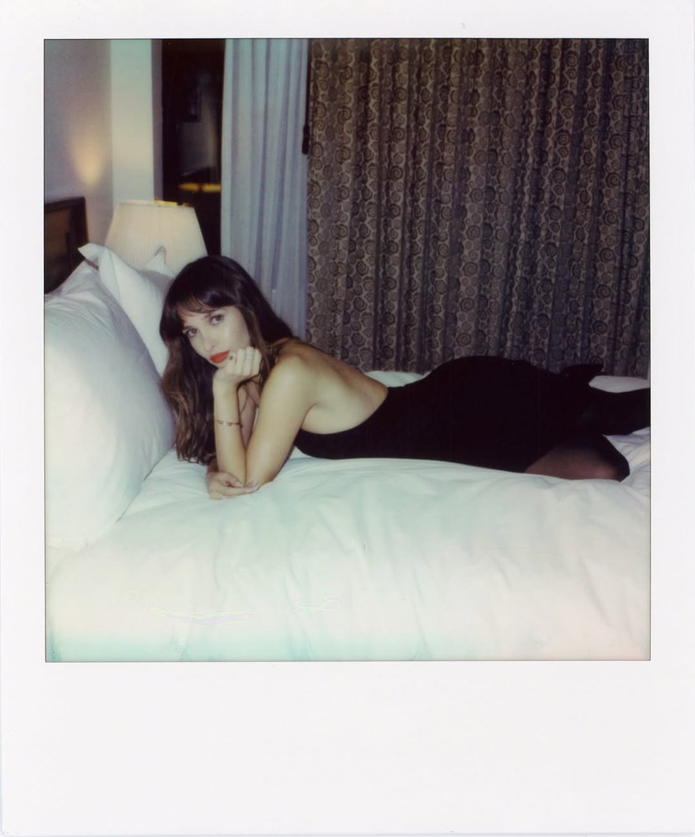 ─┈ 𝑀𝑎𝑥𝑖𝑚𝑢𝑠 𝑊𝑜𝑙𝑓𝑒◝ tweet media