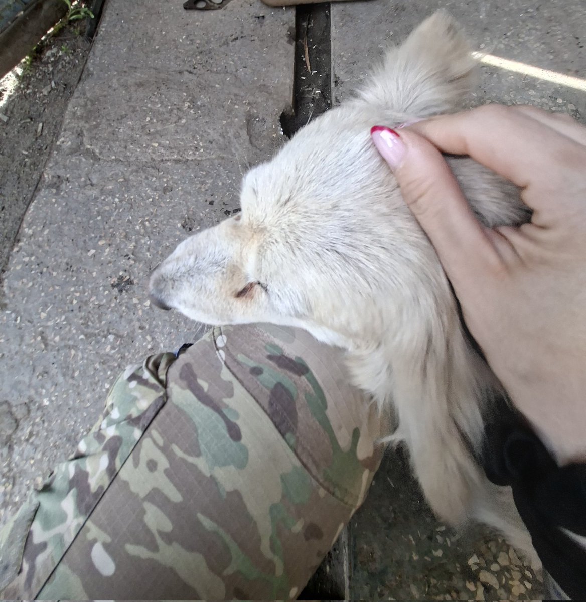 rima_medUA's tweet photo. I think we all know what to do for Ukraine today. 

#ragedonate 

Share fundraisers below. Like and share all fundraisers for Ukraine you see today. https://t.co/Ch2VMjmPwC