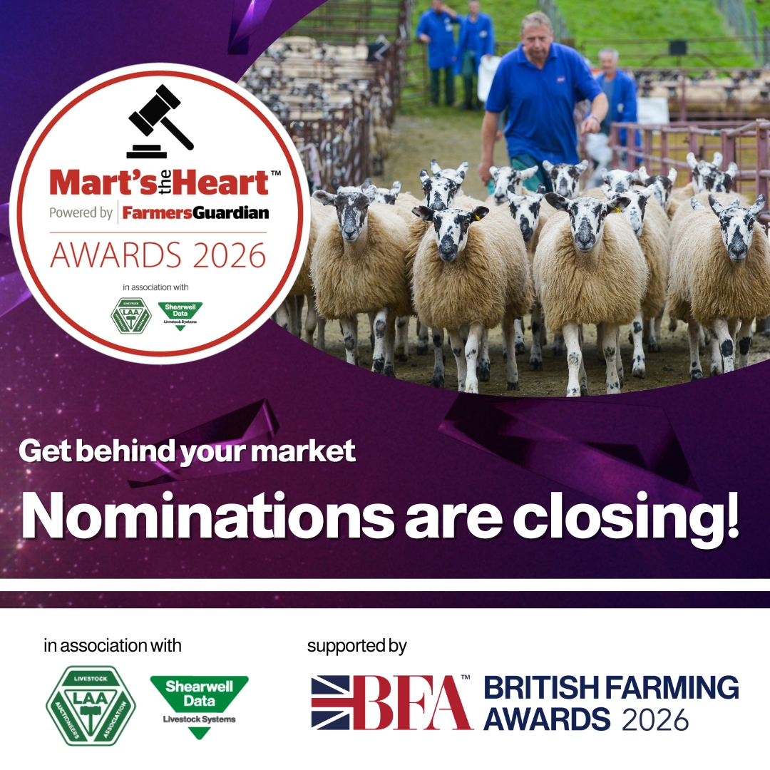FarmingAwards's tweet photo. Every mart has them! 
The auctioneer who grafts day in, day out, the new face making their mark or the mart that holds the community together.
👉 New Auctioneer of the Year
👉 Auctioneer of the Year
👉 More than a Mart
Nominate them before June 17 >> https://t.co/04mPZxZrvU https://t.co/P0joGadeHe