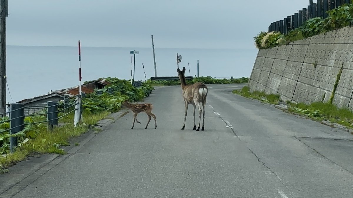 conte_portee's tweet photo. 関東に帰ります https://t.co/UaxxpCa5PZ