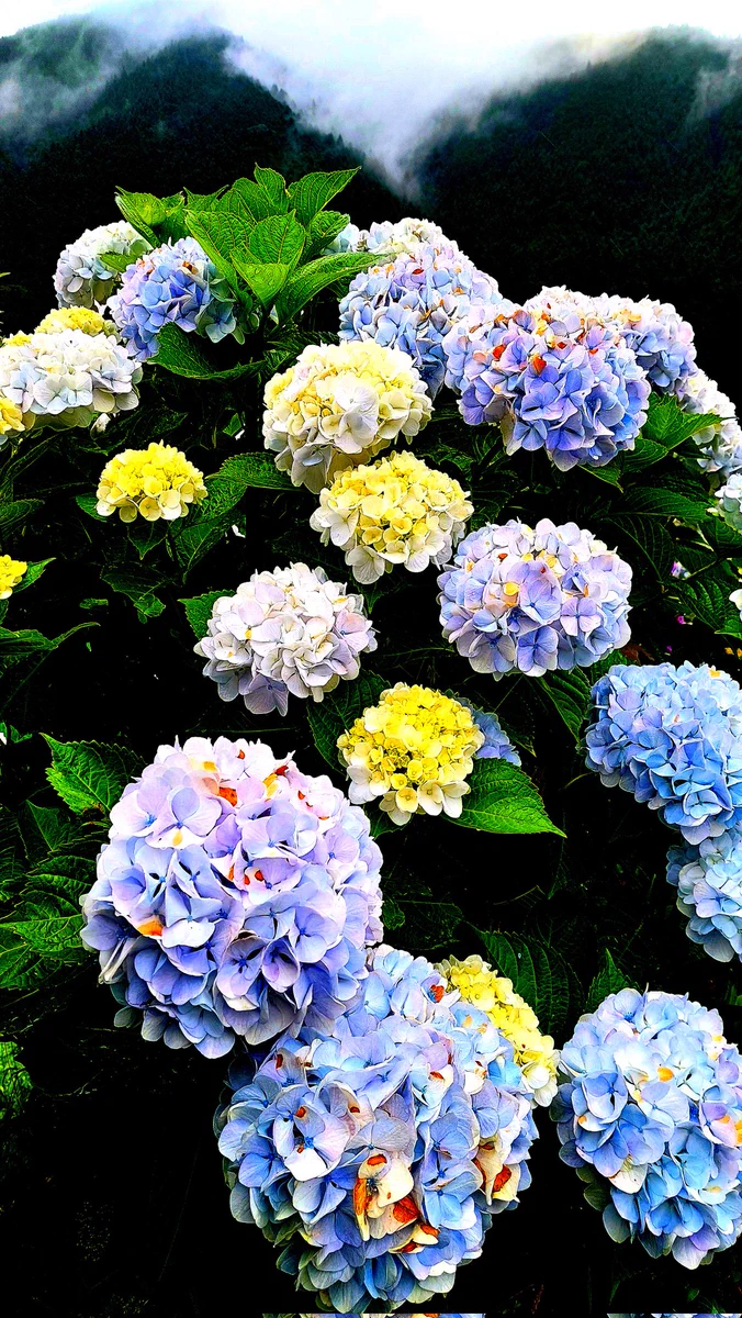 きたぴ on X: 