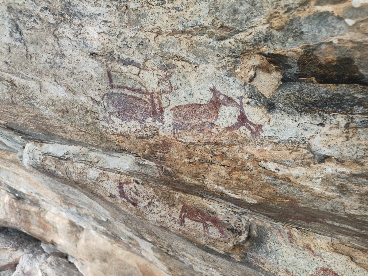kuldeep_dr's tweet photo. #Rockpainting #Mesothelic #era #india
#Huntritual

@IndiaHistorypic 
@ASIGoI 
@KondoaRockArts 
@HistContent 
@ASIGoI https://t.co/kbFRiTWgya