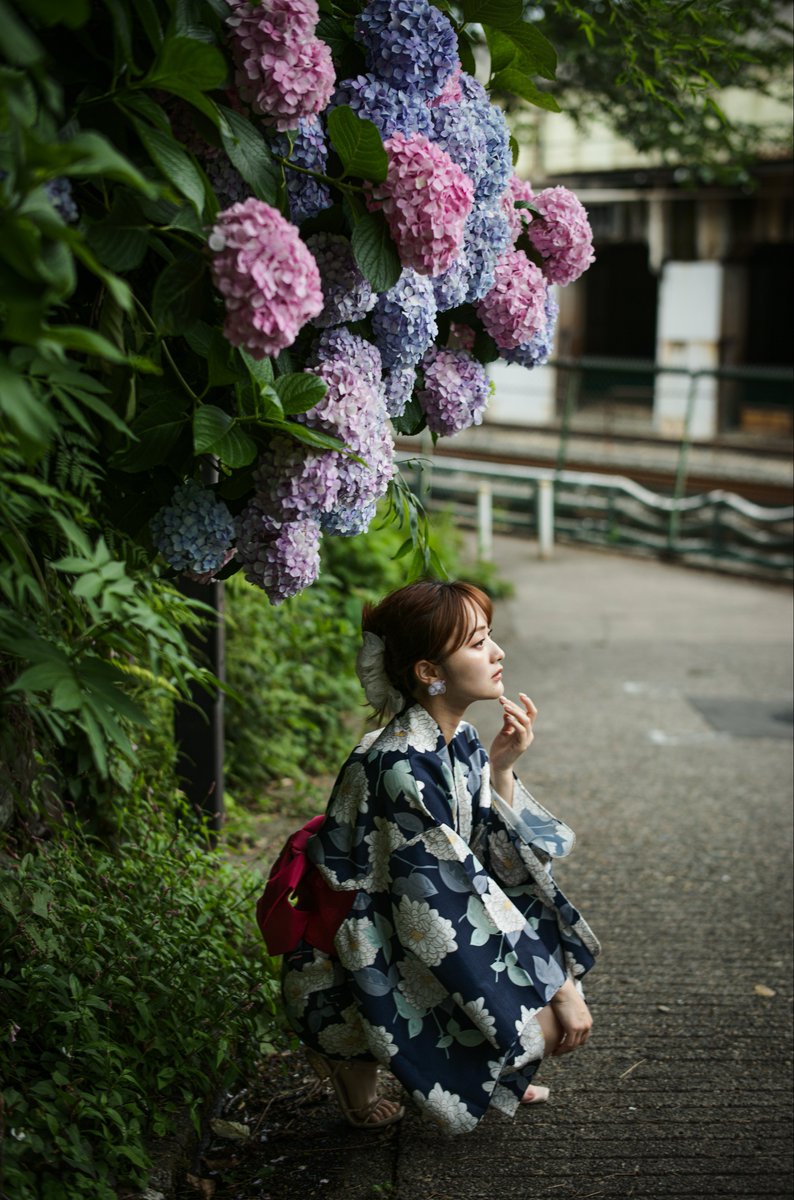 mwm1997's tweet photo. 紫陽花と浴衣 https://t.co/N7Avz0evTn
