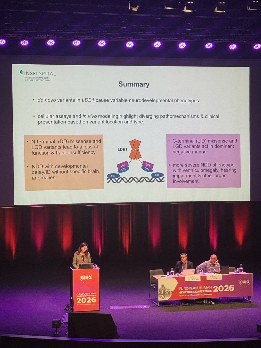mo__wafik's tweet photo. #eshg2026 day 3! 

🧬 Really enjoyed the Mendelian Disorders session at #eshg2026 this morning.

Fascinating talks on DHX36, RLF, MACROH2A1, LDB1 and CHD3, showing how novel disease gene discovery is increasingly being linked to underlying epigenetic and transcriptomic mechanisms https://t.co/JiMQVOORxH