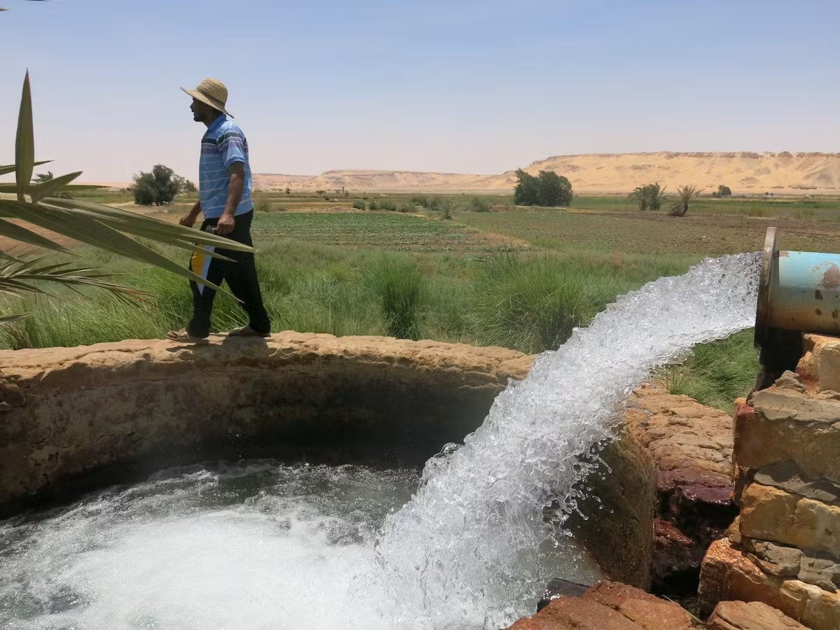 cooperazione_it's tweet photo. 💧🌍🤝 In #Egypt 🇪🇬, #Cooperazioneitaliana 🇮🇹 supports Water Knowledge II, implemented by @CIHEAMBari, to strengthen capacities 🎓, innovation 💻📡 &amp; regional cooperation 🤝 for the sustainable management of water resources 💦 and climate adaptation 🌱. https://t.co/KbjfDGQlNY