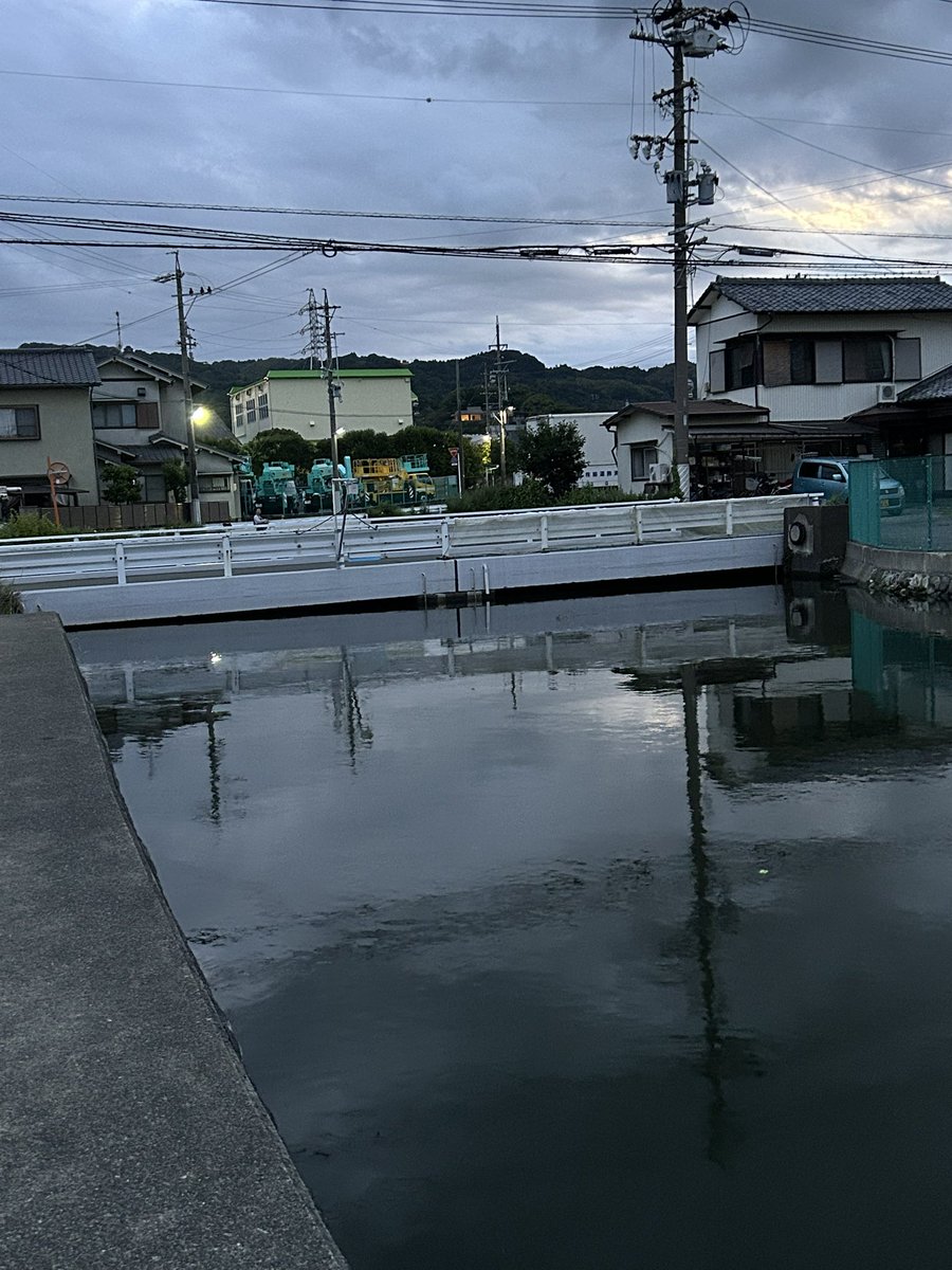 gorilla125cc's tweet photo. 本日もスレスレ https://t.co/r1U5K0kwEb