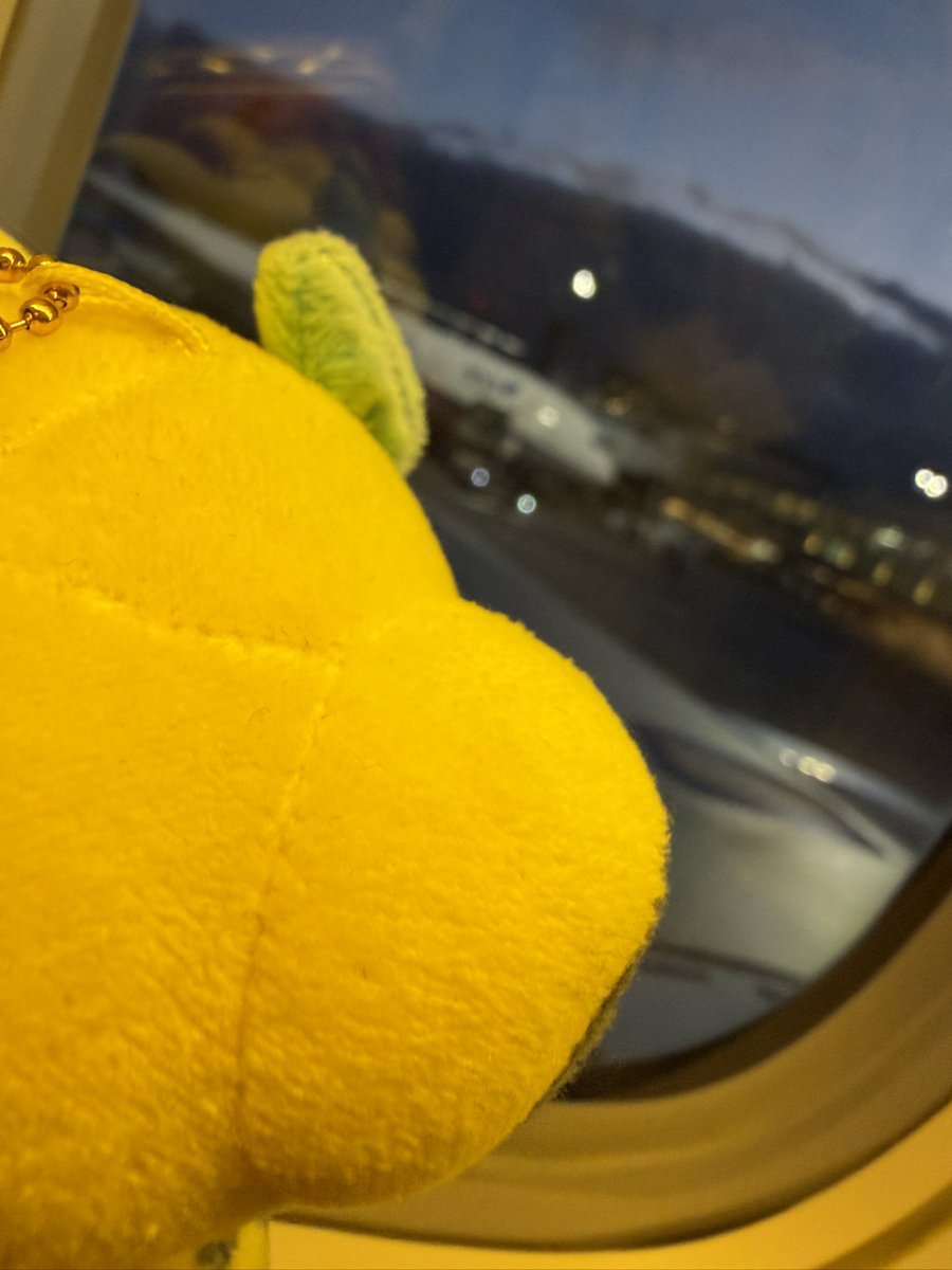 harilwolf's tweet photo. さようなら東京
さようならポケパーク
いい夢をありがとう👋 https://t.co/DnpJDwtxea