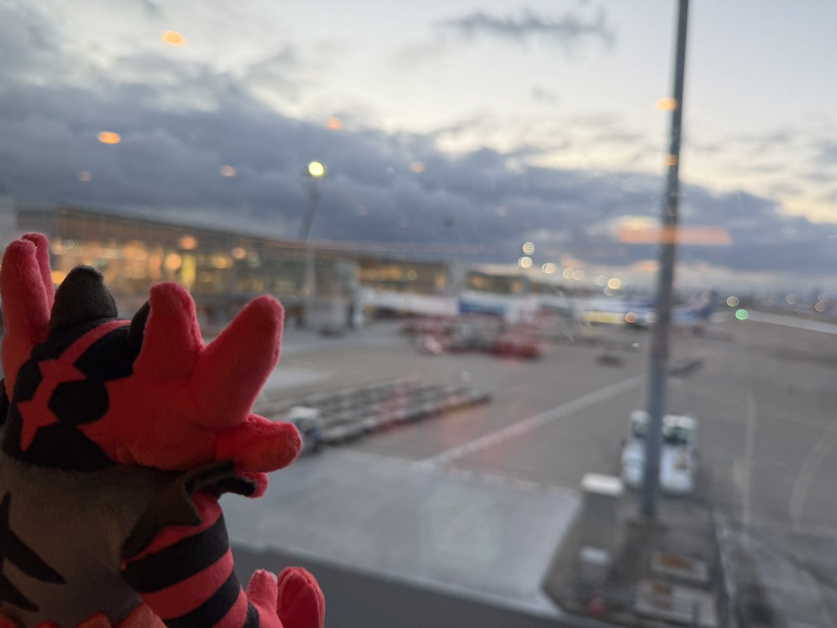 harilwolf's tweet photo. さようなら東京
さようならポケパーク
いい夢をありがとう👋 https://t.co/DnpJDwtxea