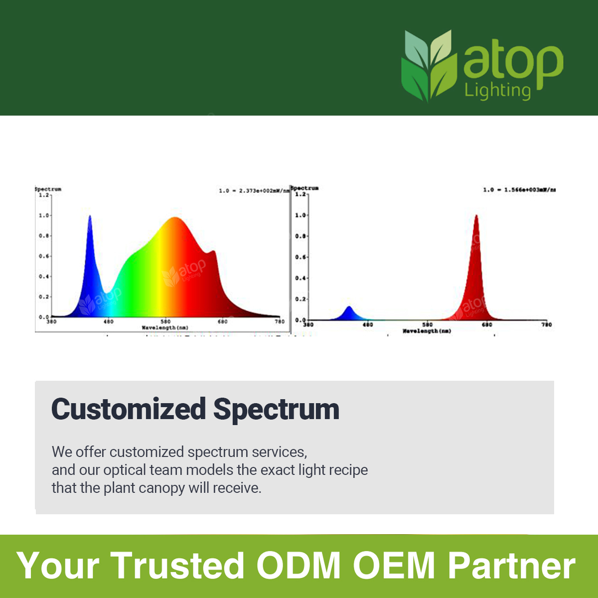 AtopLighting's tweet photo. We offer customized spectrum services, and our optical team models the exact light recipe that the plant canopy will receive.
๐ฉ Contact us at info@atophort.com for more information.
#horticulturelighting #LEDgrowlight #Spectrumdesign #CustomizedSpectrum https://t.co/aFDfWOd2U4