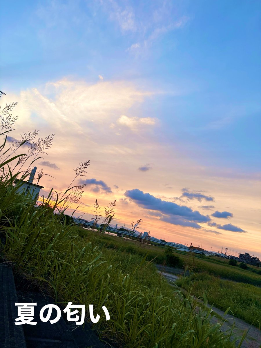 KEN_KEN_PA24's tweet photo. 今日の夜ごはんは
宿泊先の近くにあまりにもいい感じの河川敷があったので、そちらでモスバーガーをいただきます🍔

大須賀賢哉in大分
おかげさまで今日も充実した日です

河川敷はいい！！！！！！ https://t.co/9lNsOaMF53
