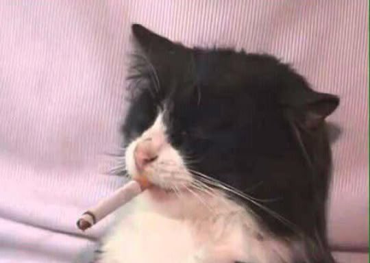 SleeppyGuy's tweet photo. Morning cigarette needed https://t.co/Y4o9rbf3aU