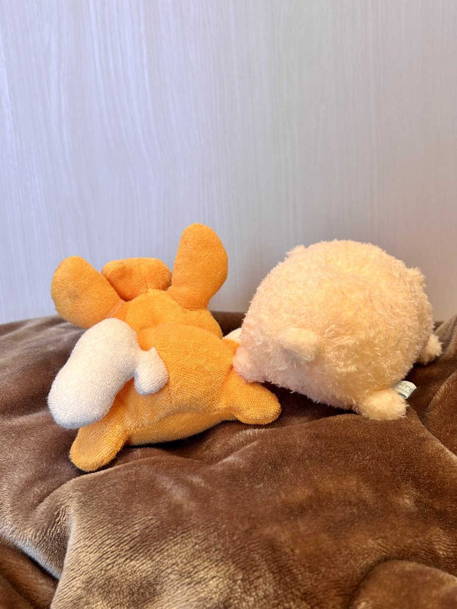 furfurhui's tweet photo. そしてらっこいぬと洗モの尻頂上決戦　どっちも大優勝 https://t.co/tzR64ek7QV