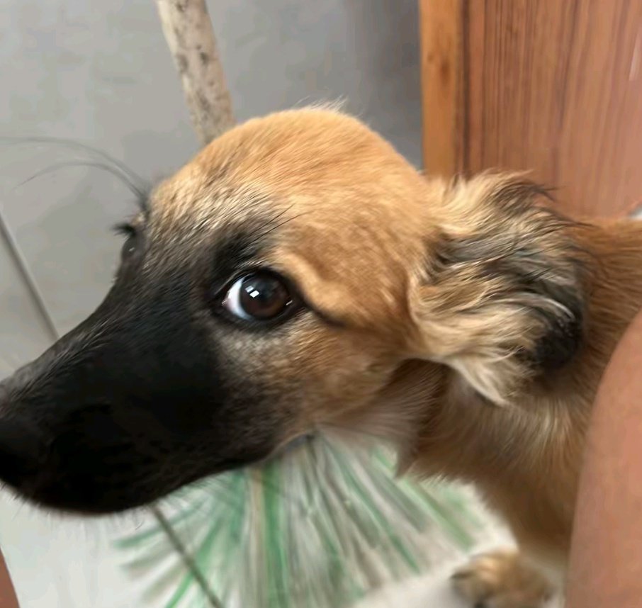 Riklen_gust's tweet photo. @VituTakasu Mano, eu assistir o EP 9 e não vi NADA sobre essa questão do Jax ser trans não ksksksksksk, acho que as vezes as pessoas gostam de inventar as coisas e tirar do cu https://t.co/x3bCVrMFUy