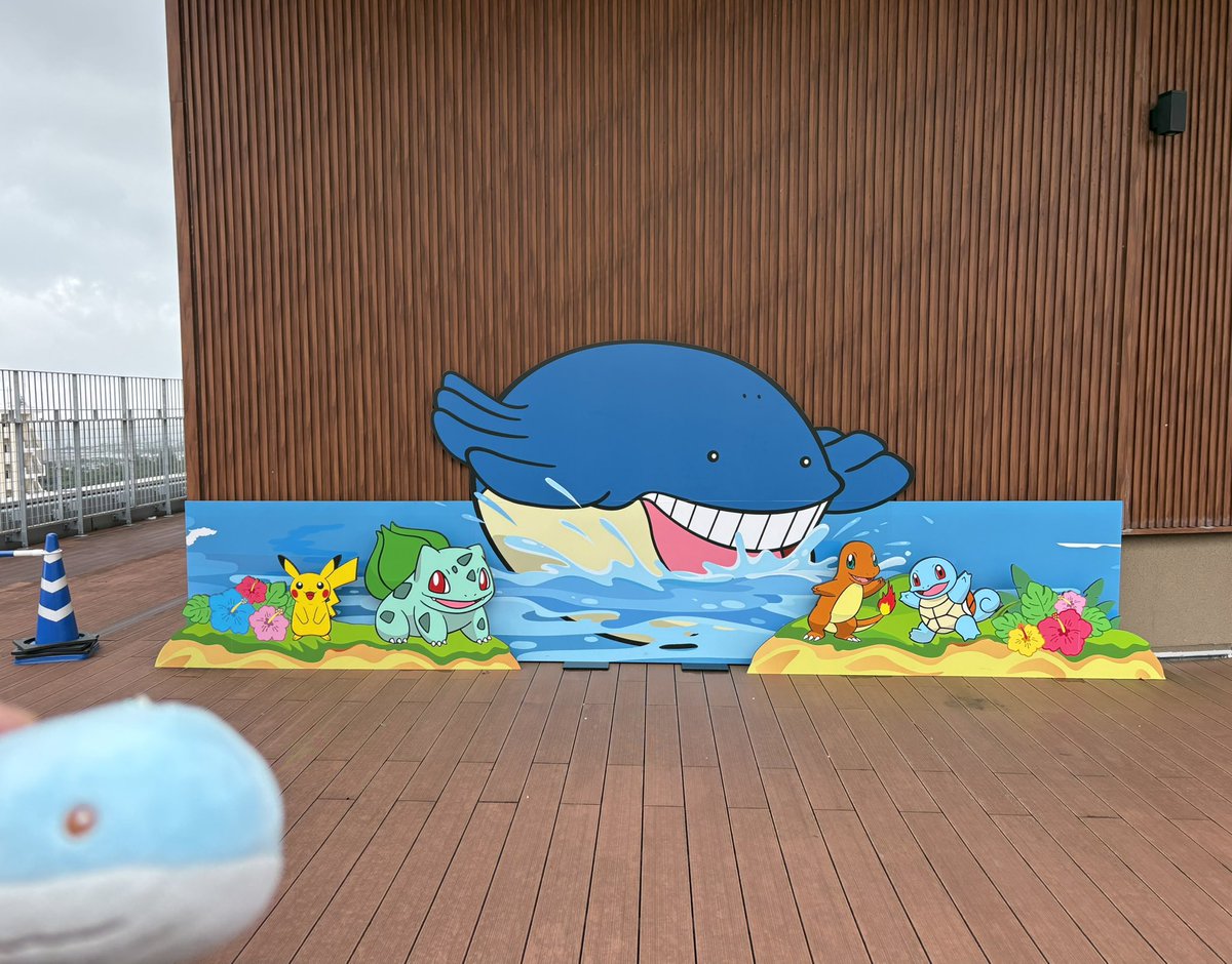 mo_c_rune's tweet photo. ホエルオーかわいかった🐳最高でした🐳 https://t.co/cOkF7f61AF