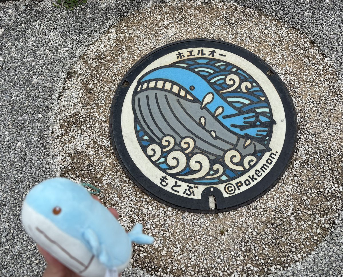 mo_c_rune's tweet photo. ホエルオーかわいかった🐳最高でした🐳 https://t.co/cOkF7f61AF