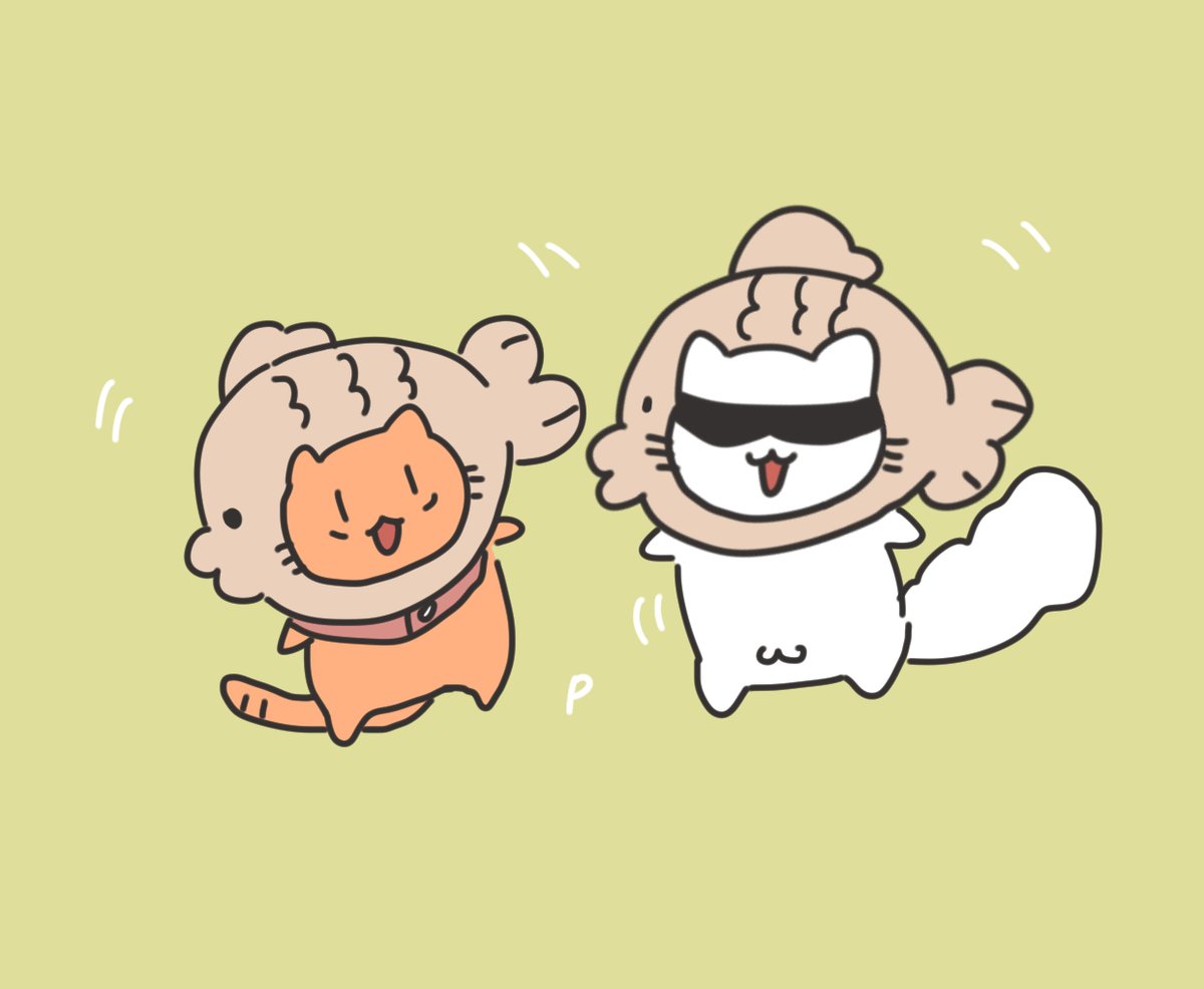 😎💗🐯 tweet media