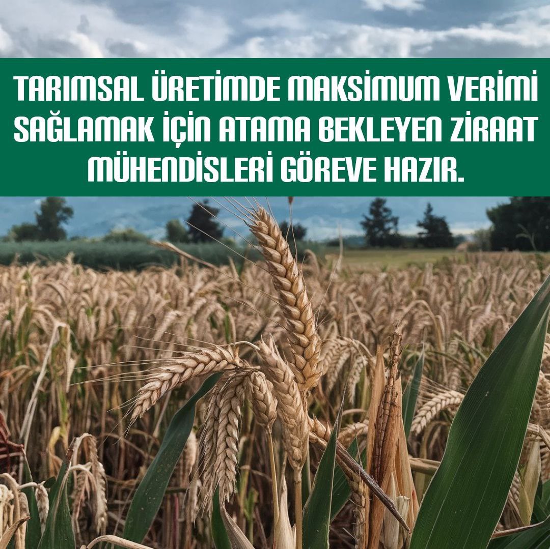 TunahanZM's tweet photo. @2024Ziraat @ibrahimyumakli @TCTarim Ziraat Mühendisleri ülke tarımının kalkınması ve gelişmesi için sizlerden atama bekliyor 🇹🇷🇹🇷

#Tobatamabekliyor

@RTErdogan @tcbestepe @cbsbb @TCTarim @ibrahimyumakli @ahmtbgc @tarimormanpgm @Seyfullahaslntk @kerimgullu07 @HMBakanligi @memetsimsek @2024Ziraat https://t.co/xddIcQmPVX
