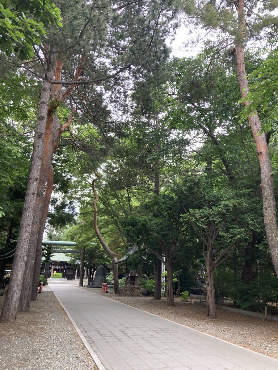 mio_maya161's tweet photo. 神社散策⛩️✨ https://t.co/812Gc1dknF
