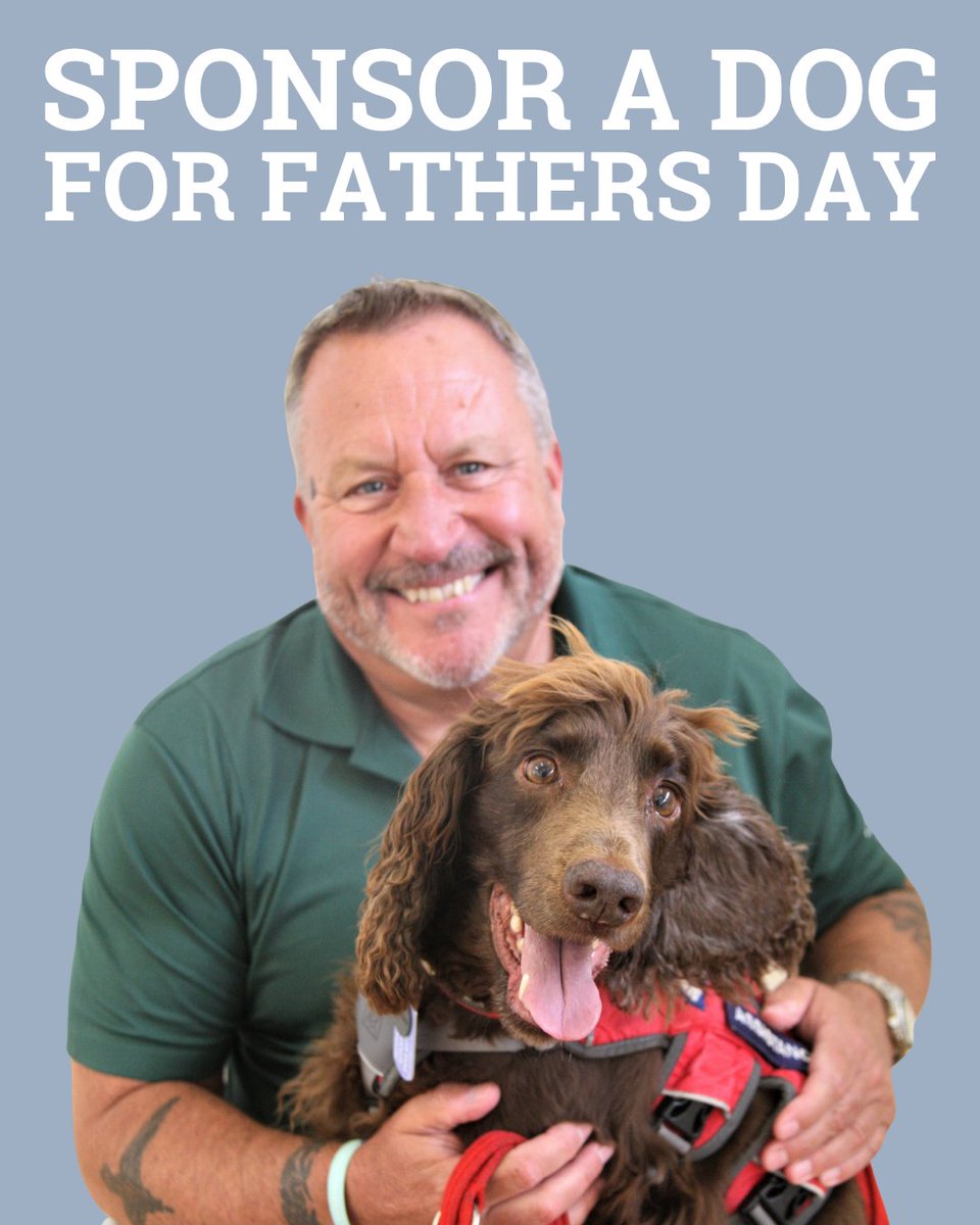 ServiceDogsUK's tweet photo. Looking for a Father's Day gift with real meaning?��� 

Sponsor one of our rescue dogs and help them on their journey to becoming a life-changing assistance dog for a Veteran living with PTSD for just £1 per week

https://t.co/qJZFJEpLoF⁠

A small gift. A big impact.⁠ https://t.co/LoCBFu14Zp
