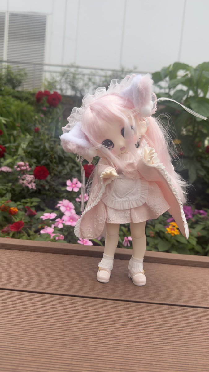 oguyuilove's tweet photo. #ShellyCoco1号店 にて
甘絨のショーウィンドウちゃんをお迎え！
お友達と3人同時にヾ(*´∀｀*)ﾉ
いやぁこの子達かわいい！

ウイッグタイプだし…Tinyちゃんより少し小さいくらいかなぁ
これで1万円以下は素晴らしいね！ https://t.co/qaTM6G3Ae6
