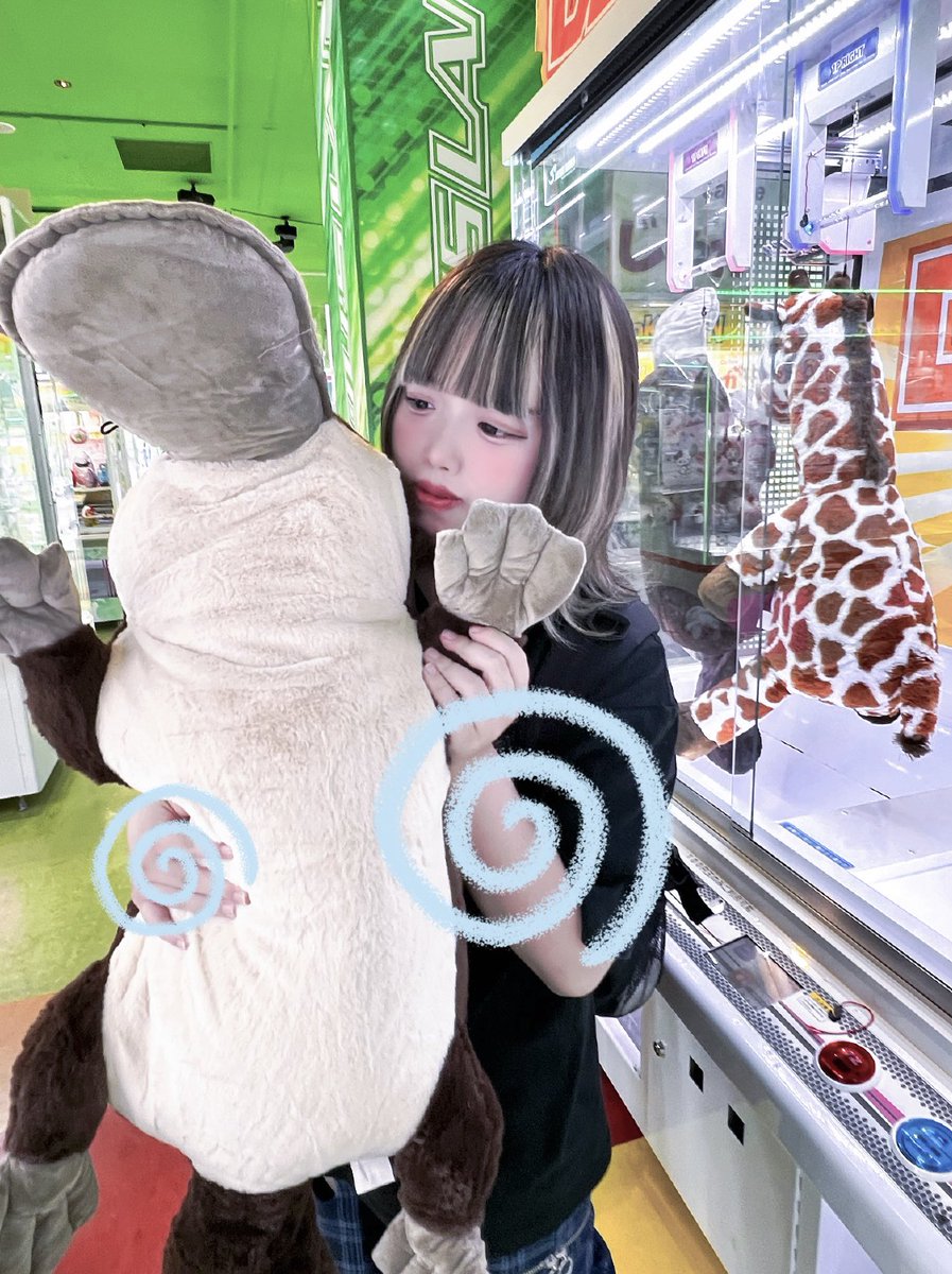 recapnya's tweet photo. 100円カモノハシ(ᴖ ̫ᴖ  )♪

#自撮り界隈  #いいね返し https://t.co/nwsH79dQSC
