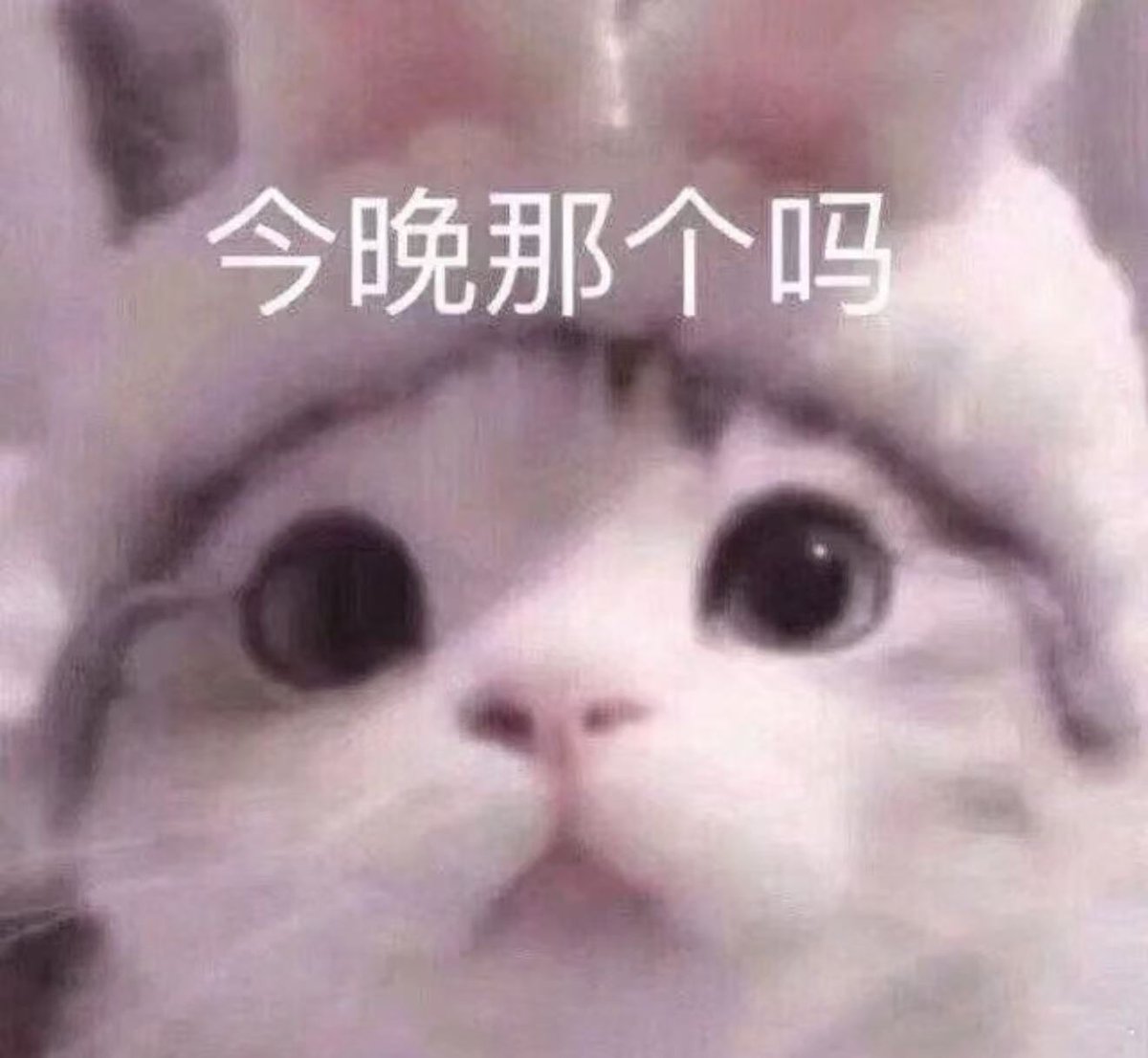 imogenflloyd's tweet photo. #太原             太原 https://t.co/l7Ogyi6IXH