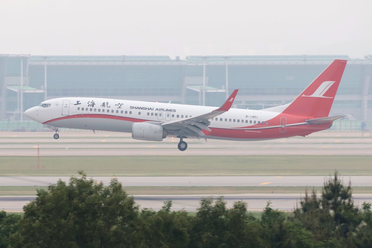JapanSpotterd's tweet photo. 2026/06/04
B737-89P
B-1451
SHANGHAI AIRLINES(FM)
SEOUL INCHEON AIRPORT(ICN) https://t.co/3oenl2sScS