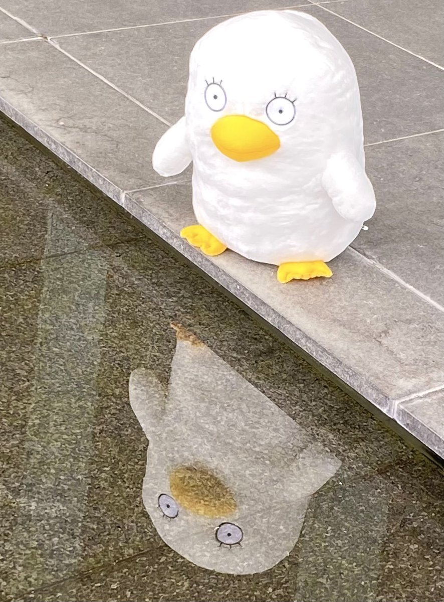 さち (@sachi122521) / Posts / X