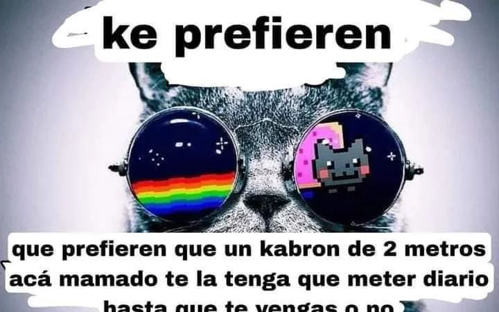 HORMIGA_RETURNS's tweet photo. https://t.co/GOmseOfgZE