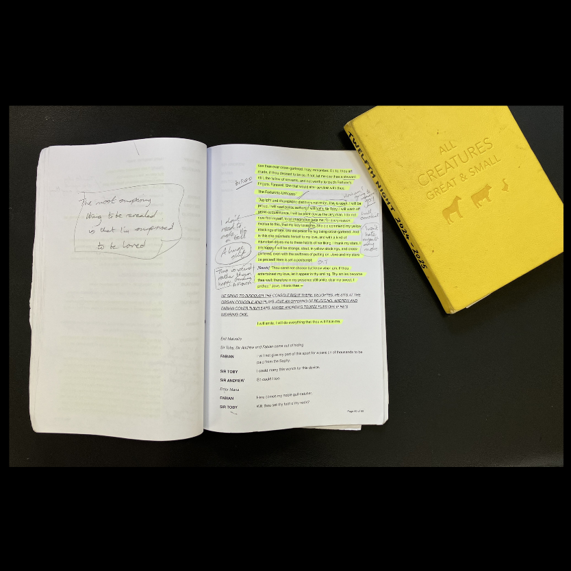 ShakesInstLib tweet picture