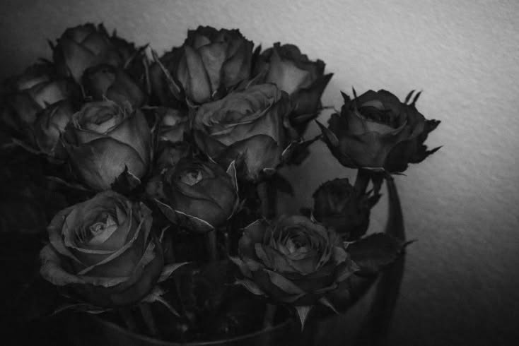 bluzean's tweet photo. LAST BIRTHDAY: Red Roses

Jaenori, few au
———————————

; Langit-Mera universe https://t.co/msGPxhTgrF